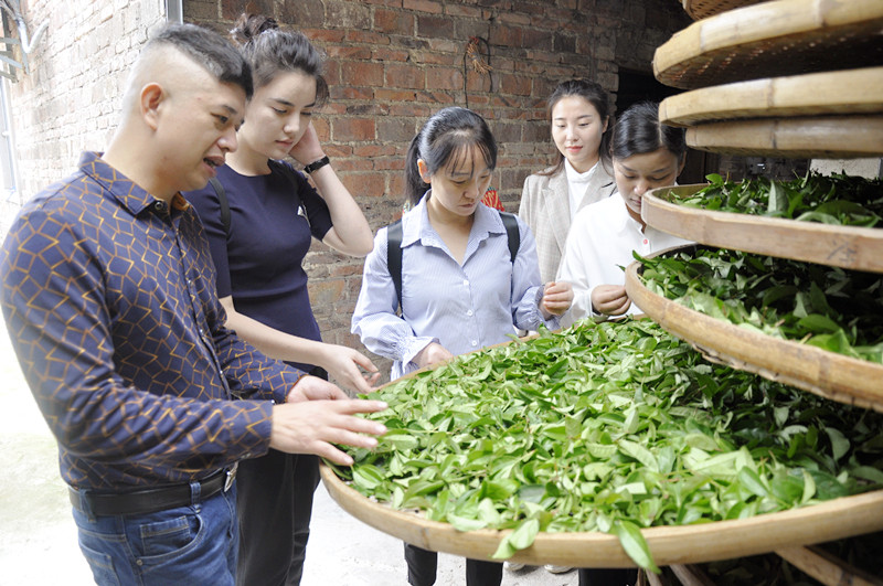 厦门茶艺师培训学费